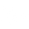 White Google+ Icon